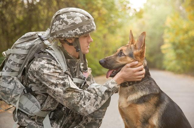 Military Pet Deployment